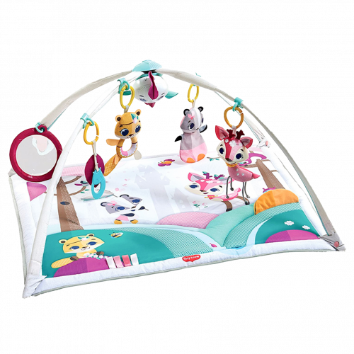 Thảm chơi Tiny Love Gymini Deluxe – Tiny Princess Tales